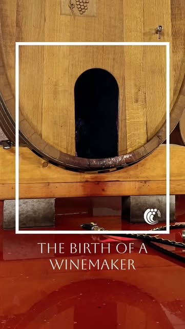 Instagram @bodegasmartinezrios