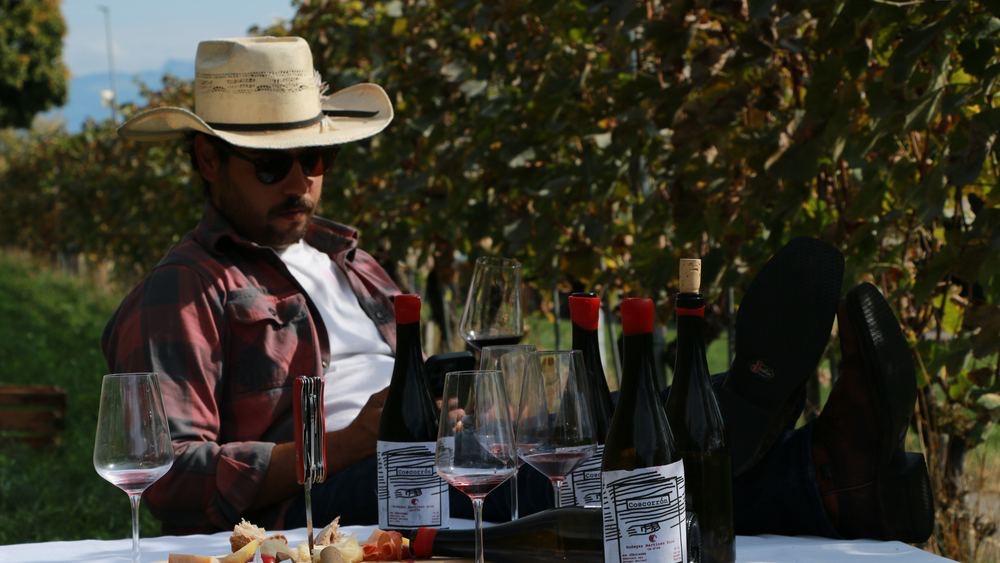 Santi mit Wein im Weinberg Feldbach